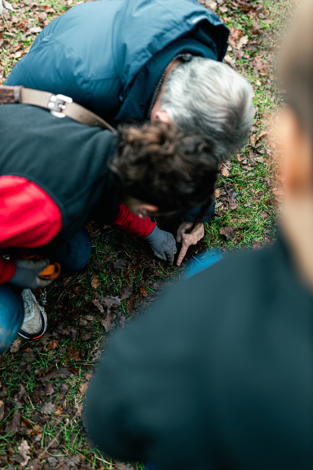 The truffle hunter and a guest bend over the ground where the dog has stopped