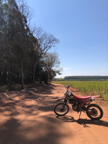 Trail bike on a red clay road between eucalyptus and sugarcane in inland Brazil