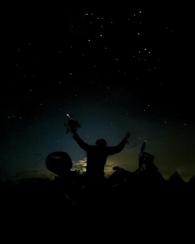 Night sky over parked adventure motorcycles in the Minas Gerais highlands
